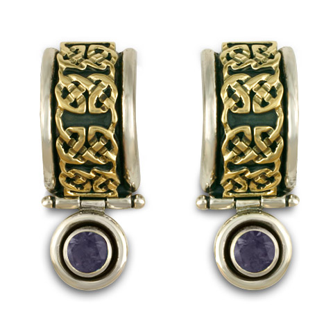 Renee Earrings in Iolite